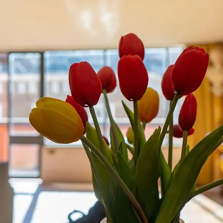 Easytopstay - Charme And View In The Heart Of Apartment